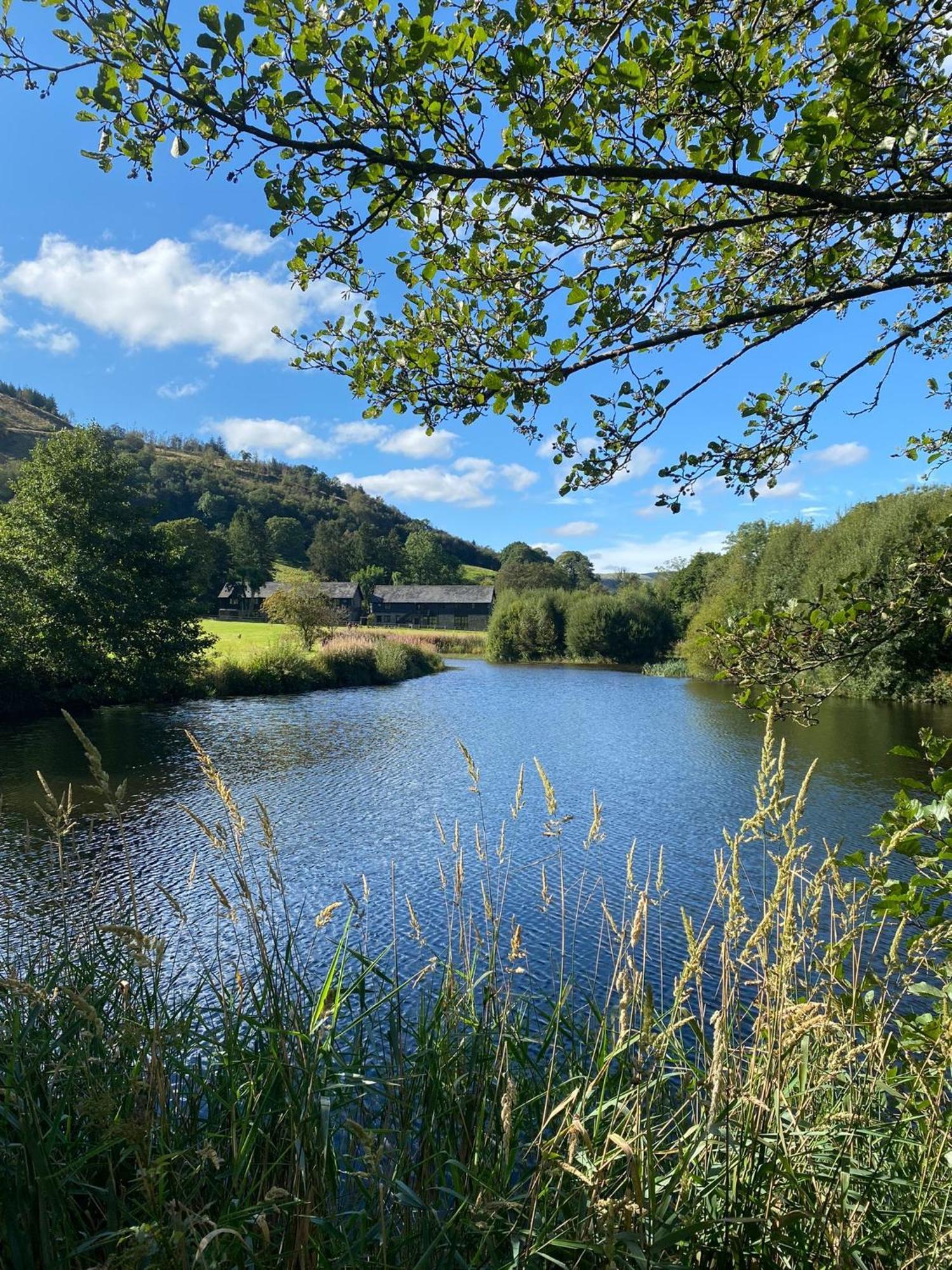 Lake Cottages At Cwm Chwefru Llanafan-fawr Экстерьер фото
